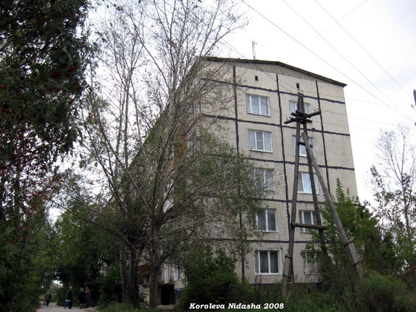 Жильцы дома на прогулке в Собинском районе Владимирской области фото vgv