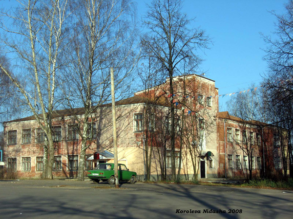 Лакинская детская школа искусств в Собинском районе Владимирской области фото vgv