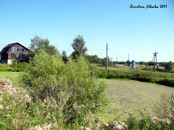 Пруд в д. Пушнино в Собинском районе Владимирской области фото vgv