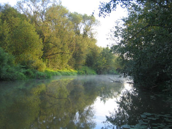 река Колокша в Собинском районе Владимирской области фото vgv