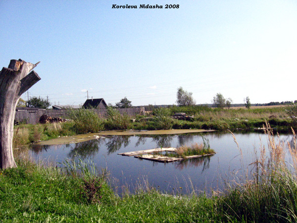 пруд на ул. Пионерской в Судогодском районе Владимирской области фото vgv