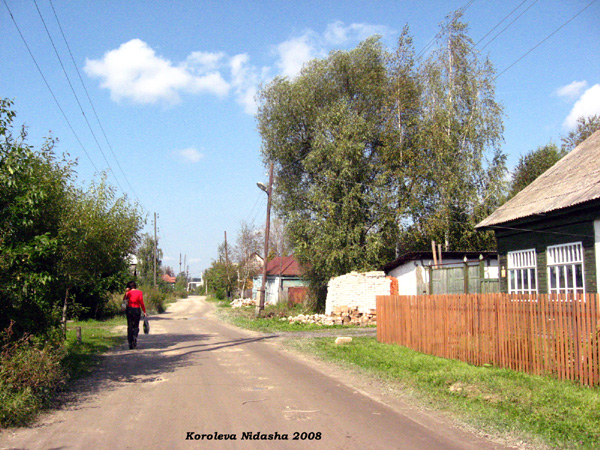 город Судогда Якобсона переулок в Судогодском районе Владимирской области фото vgv