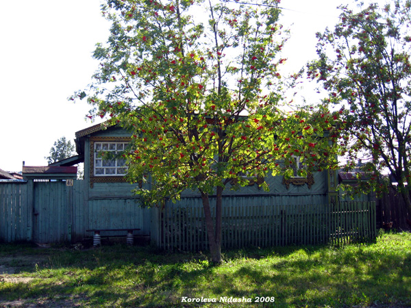 деревянные резные наличники Золотой петушок в Судогодском районе Владимирской области фото vgv