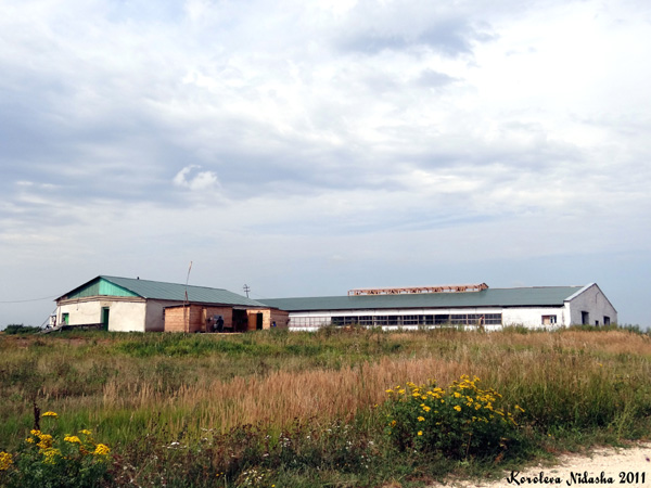 СПК Молочная ферма в Судогодском районе Владимирской области фото vgv