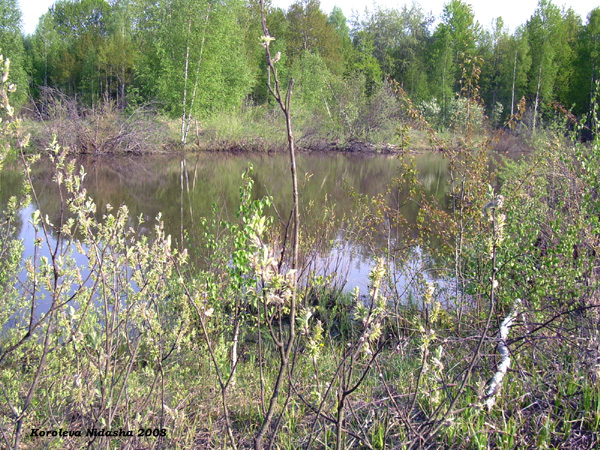 пруд деревни Богданцево в Судогодском районе Владимирской области фото vgv