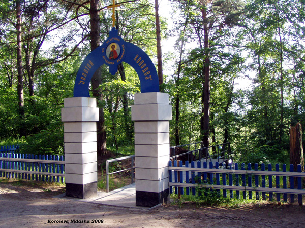 Святой источник в Спас-Купалище в Судогодском районе Владимирской области фото vgv