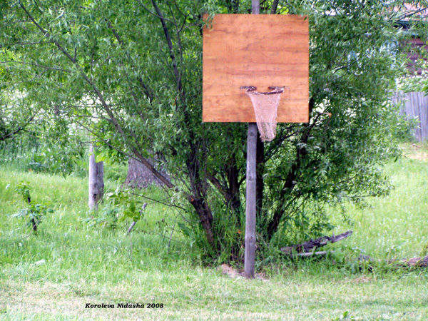 баскетбольная площадка в деревне Даниловка в Судогодском районе Владимирской области фото vgv