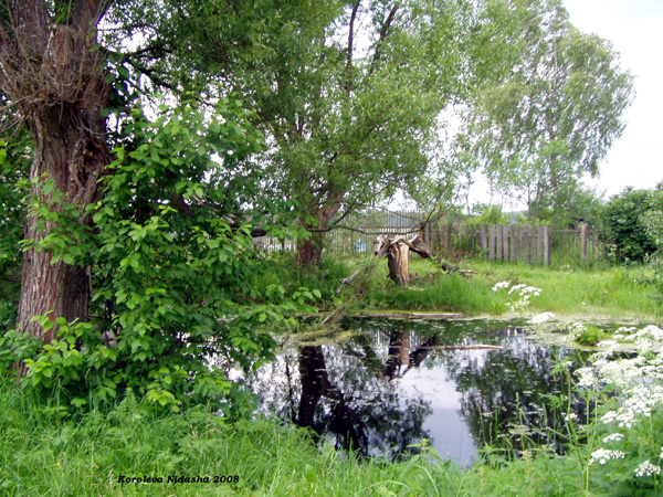 пруд в деревне Даниловка в Судогодском районе Владимирской области фото vgv