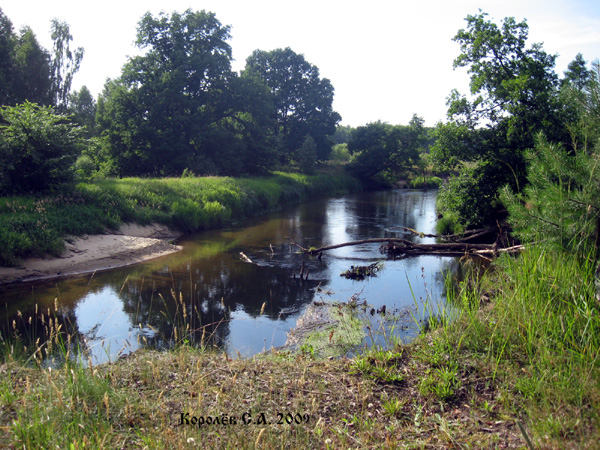 река Судогда у деревни Даниловка в Судогодском районе Владимирской области фото vgv
