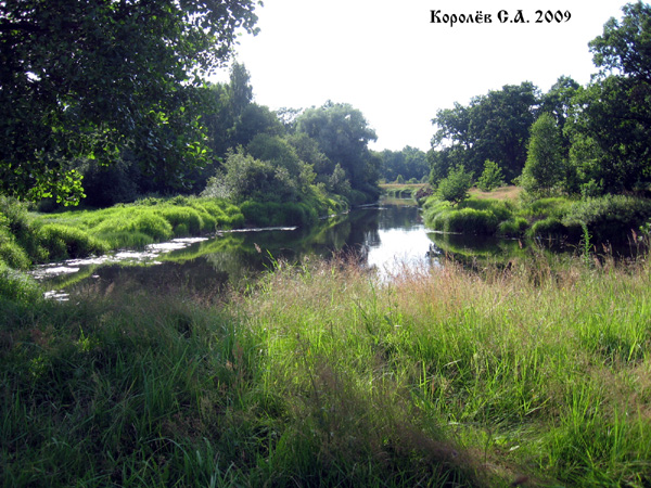 река Судогда у деревни Даниловка в Судогодском районе Владимирской области фото vgv