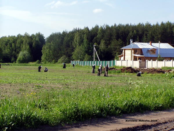 деревня Даниловка в Судогодском районе Владимирской области фото vgv