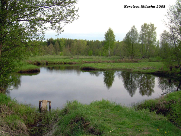 омут на реке Войнинга у деревни Аннино в Судогодском районе Владимирской области фото vgv