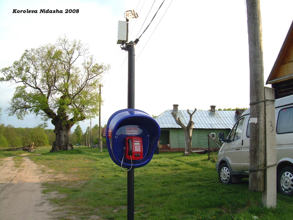 спутниковый таксофон в деревне Аннино в Судогодском районе Владимирской области фото vgv