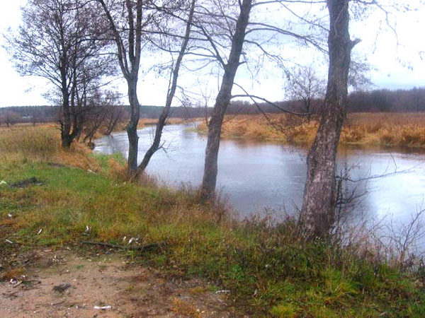 река Судогда у поселка Красный Богатырь в Судогодском районе Владимирской области фото vgv