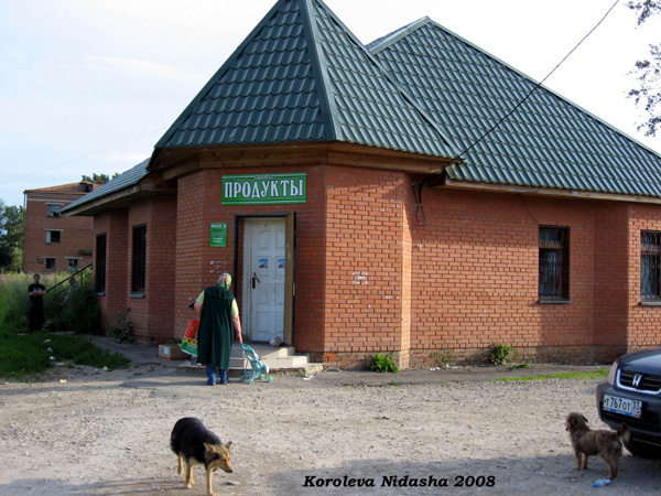 магазин Продукты на Колхозной 1а в Суздале в Суздальском районе Владимирской области фото vgv