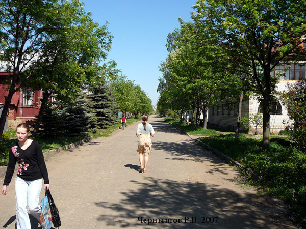город Суздаль Пожарского улица в Суздальском районе Владимирской области фото vgv