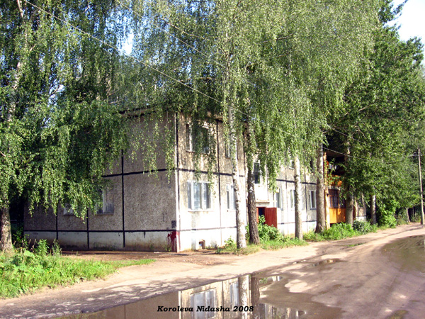 город Суздаль Советская улица 19 в Суздальском районе Владимирской области фото vgv