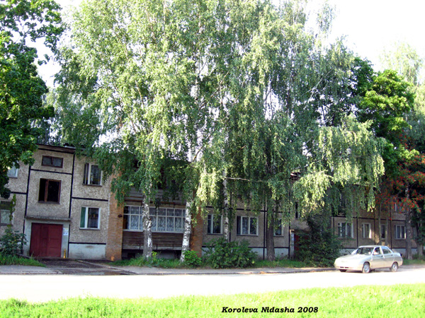 город Суздаль Советская улица 23 в Суздальском районе Владимирской области фото vgv