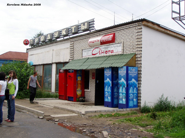 продуктовый магазин Анюта в Суздальском районе Владимирской области фото vgv