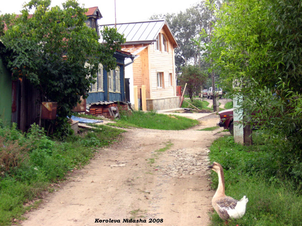 Улица село Сельцо Центральная в Суздальском районе Владимирской области фото vgv