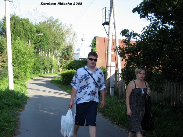 на улице Шмидта август 2008 года в Суздальском районе Владимирской области фото vgv