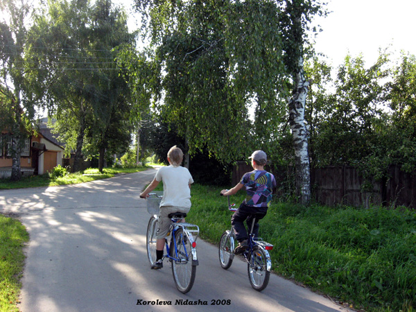 на улице Шмидта август 2008 года в Суздальском районе Владимирской области фото vgv