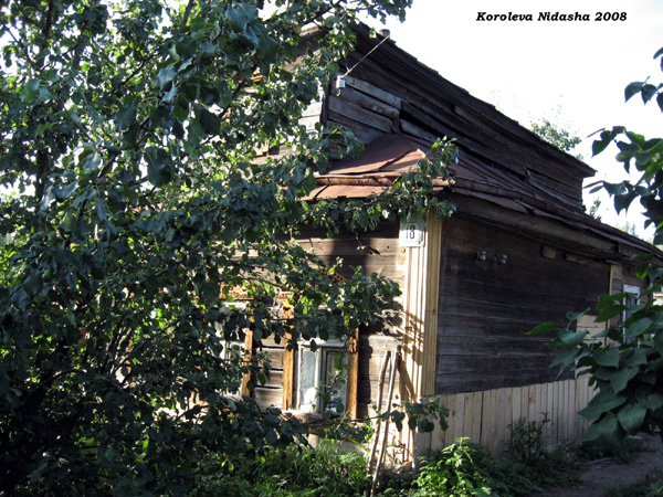 у своего дома со своими кошками в Суздальском районе Владимирской области фото vgv