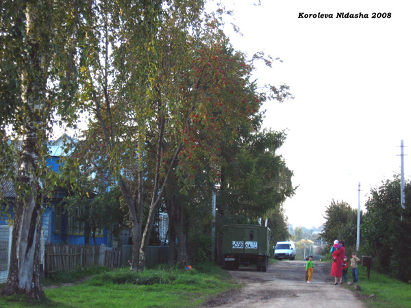 поселок Боголюбово Мира улица в Суздальском районе Владимирской области фото vgv