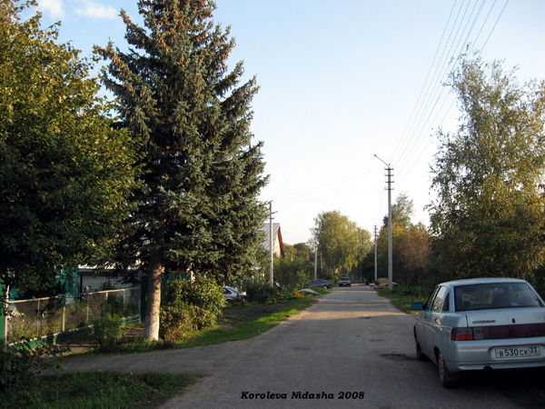 поселок Боголюбово Первомайская улица в Суздальском районе Владимирской области фото vgv
