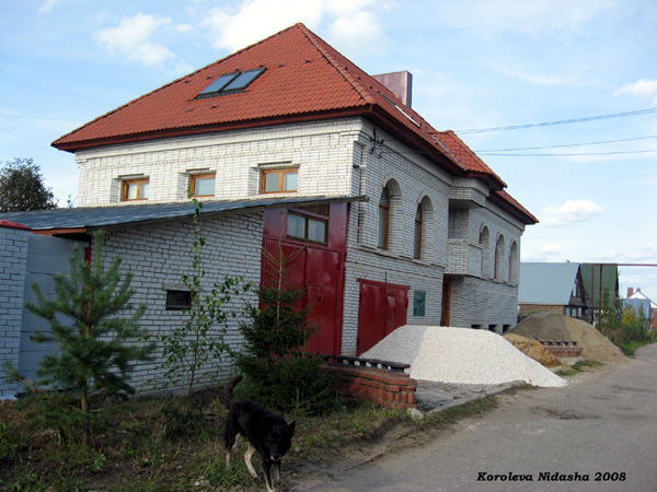 Хозяин дома с Диком в Суздальском районе Владимирской области фото vgv