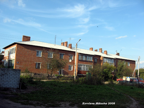 поселок Боголюбово Западная улица 25 в Суздальском районе Владимирской области фото vgv