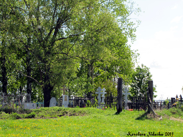 Кладбище с. Семеновское-Красное в Суздальском районе Владимирской области фото vgv