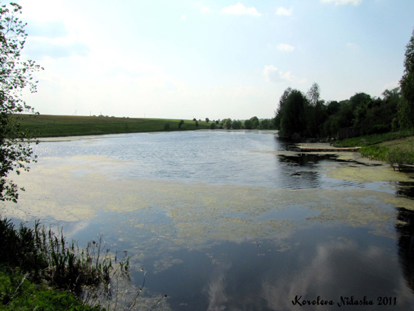 Запруда на левом притоке реки Шелковка в Суздальском районе Владимирской области фото vgv