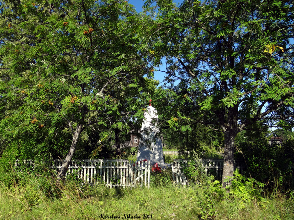 Памятник воинам-героям, погибшим в ВОВ 1941-1945 гг в селе Большое Борисово в Суздальском районе Владимирской области фото vgv