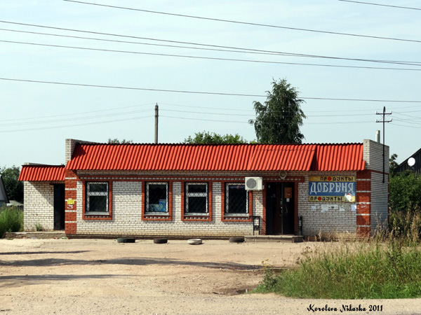 Магазин продуктов Добрыня в Суздальском районе Владимирской области фото vgv