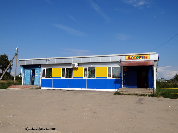 Магазин продуктов Ассорти в Суздальском районе Владимирской области фото vgv