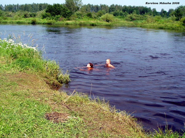 река Нерль в окресностях села Кидекша в Суздальском районе Владимирской области фото vgv