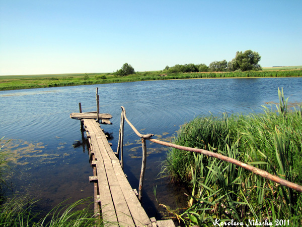 Запруда на реке Кестра в окресностях села Кистыш в Суздальском районе Владимирской области фото vgv