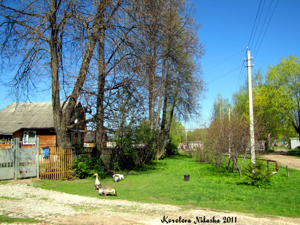 деревня Красное Сущево в Суздальском районе Владимирской области фото vgv
