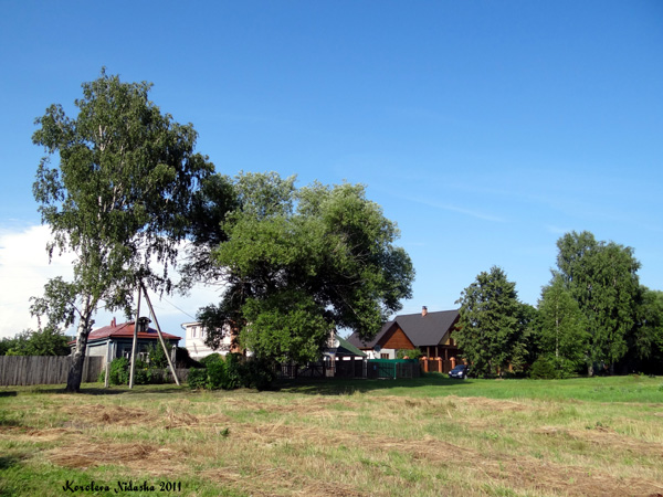 Баскаки село в Суздальском районе Владимирской области фото vgv