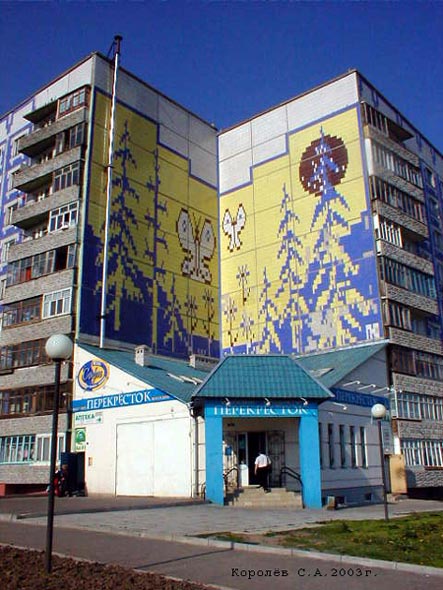 вид дома 2а на улице Безыменского до реконструкции 2008 года во Владимире фото vgv
