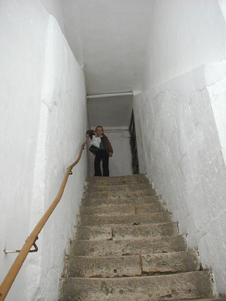Лестница в «Золотых Воротах» во Владимире фото vgv