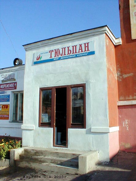 «закрыто 2010» магазин цветов Тюльпан во Владимире фото vgv