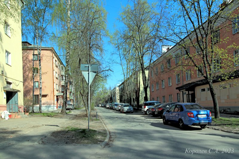 улица Фейгина во Владимире фото vgv
