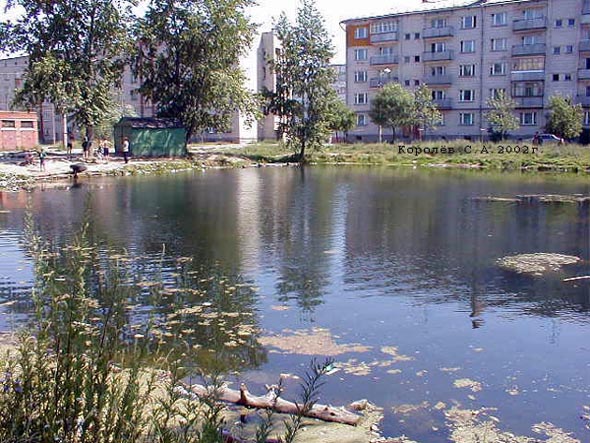 Платоновский пруд (на ул. Казарменной) во Владимире фото vgv