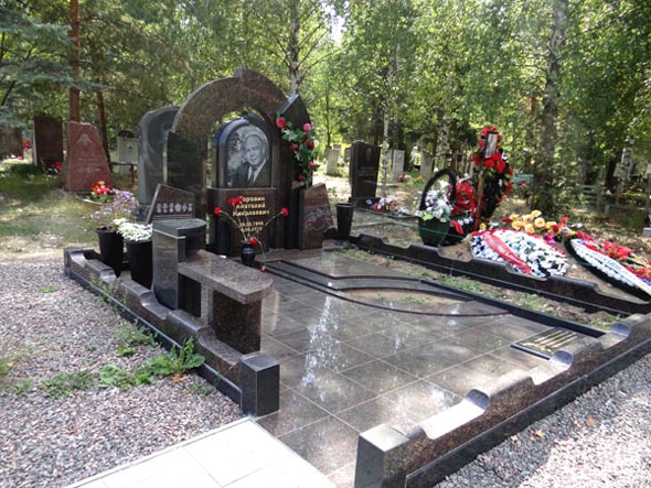 кладбище Высоково - быв.Улыбышево во Владимире фото vgv