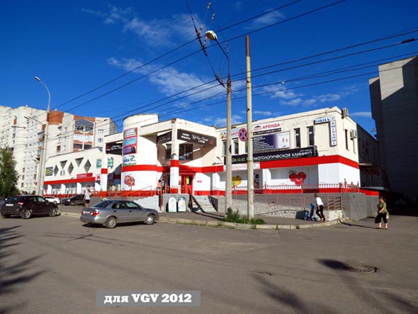 Бюро туризма Ёлки-пальмы во Владимире фото vgv