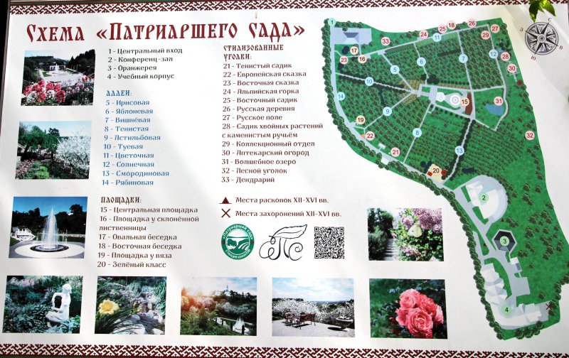 «Станция юных натуралистов «Патриарший сад» во Владимире фото vgv
