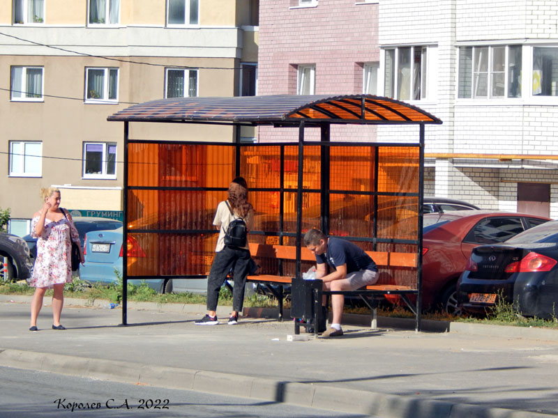 остановка общественного транспорта «Смоленская улица» на Куйбышева 9 во Владимире фото vgv