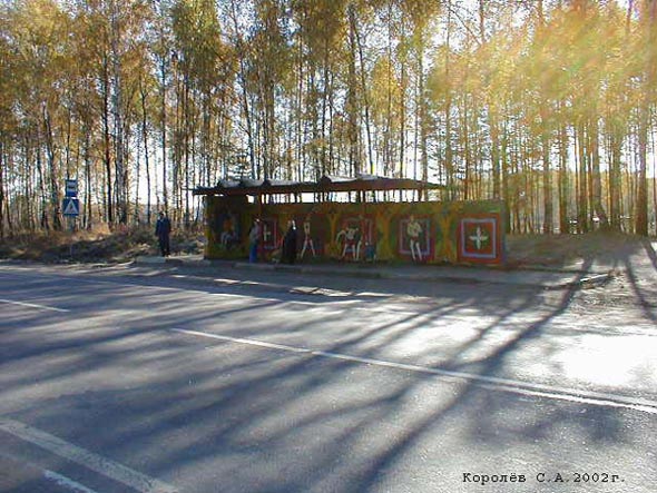 пос. Лесной - 2 во Владимире фото vgv